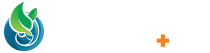 Formula Plus